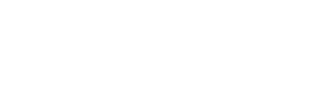 AFR Investigations